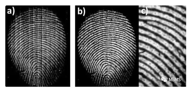 荷蘭科學(xué)家研發(fā)新型柔性高分辨率指紋識(shí)別傳感技術(shù)